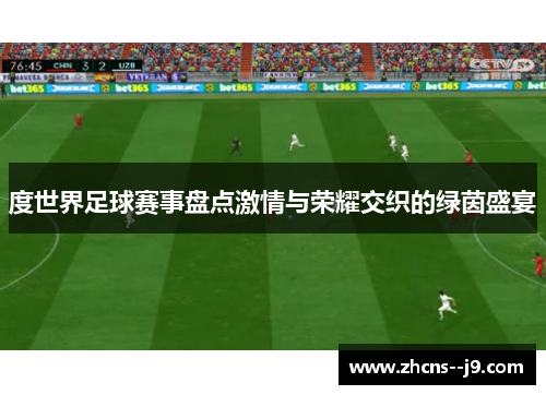 度世界足球赛事盘点激情与荣耀交织的绿茵盛宴
