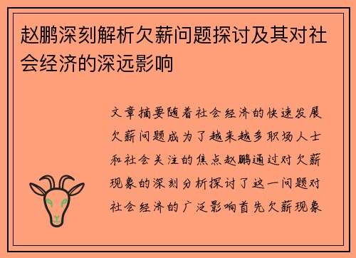 赵鹏深刻解析欠薪问题探讨及其对社会经济的深远影响