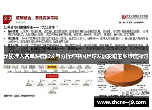 足协准入名单深度解读与分析对中国足球发展影响的多维度探讨