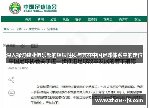 深入探讨建业俱乐部的组织性质与其在中国足球体系中的定位