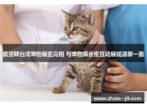 戴资颖台湾宠物展览亮相 与宠物猫亲密互动展现温馨一面