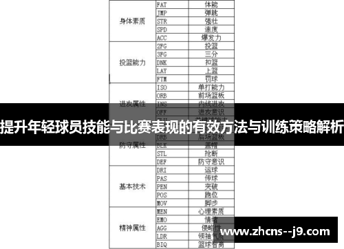 提升年轻球员技能与比赛表现的有效方法与训练策略解析 提升年轻球员技能与比赛表现的有效方法与训练策略解析