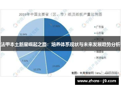 法甲本土新星崛起之路：培养体系现状与未来发展趋势分析