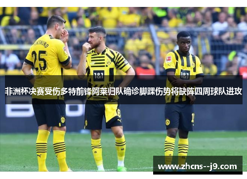 非洲杯决赛受伤多特前锋阿莱归队确诊脚踝伤势将缺阵四周球队进攻